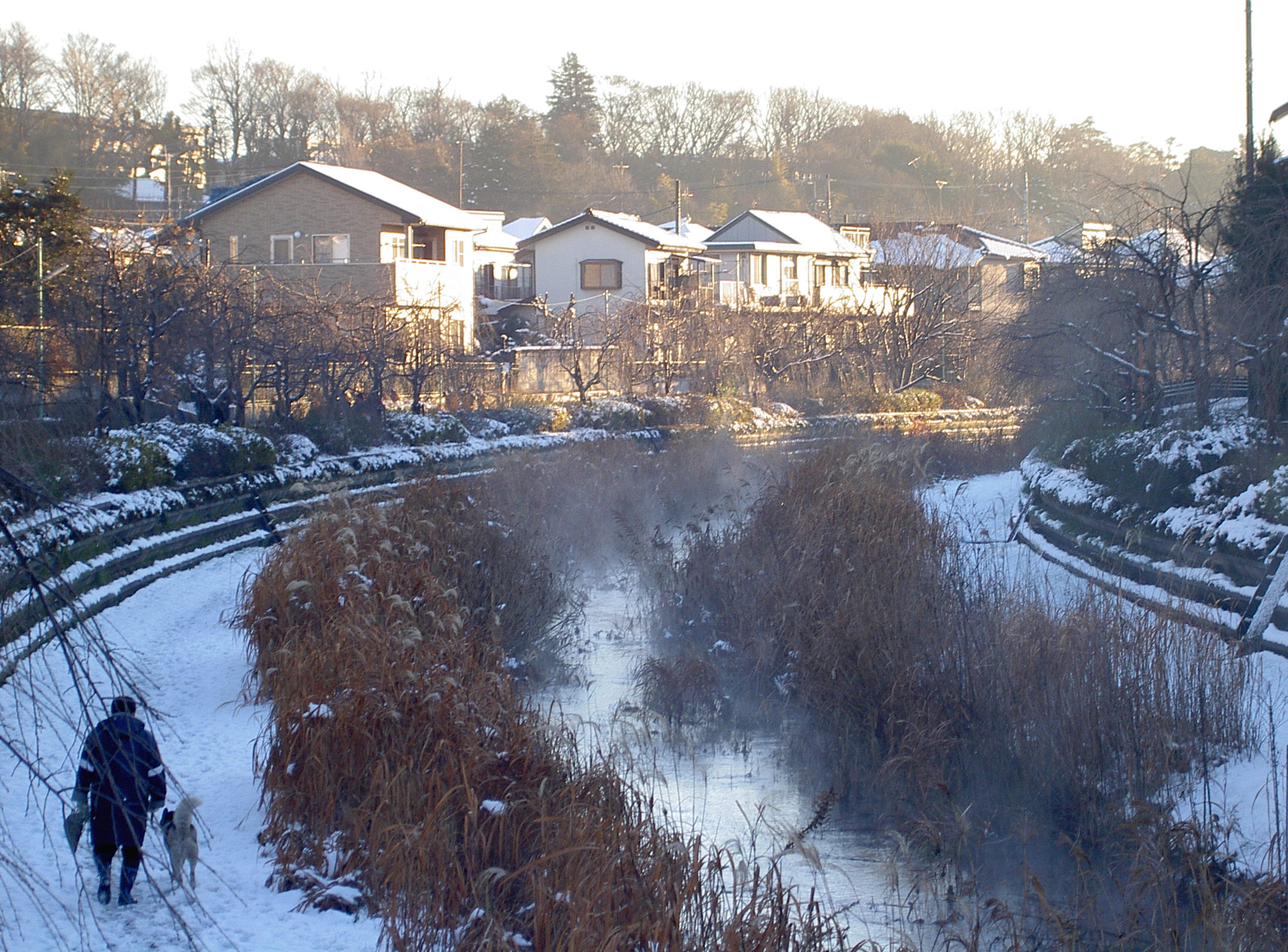 雪の野川